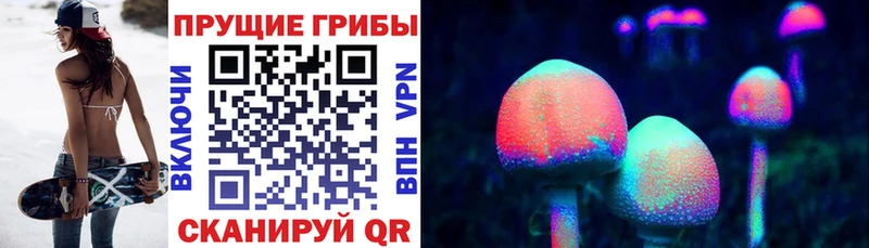 Псилоцибиновые грибы Cubensis  Дедовск 