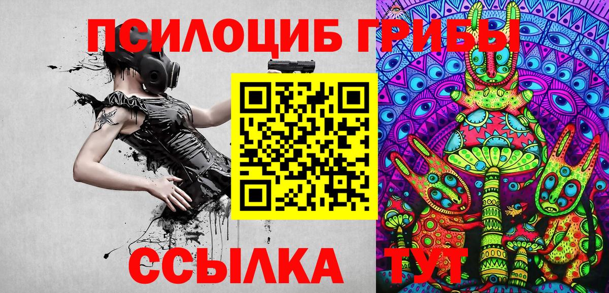 наркотики  Дедовск  Галлюциногенные грибы MAGIC MUSHROOMS 