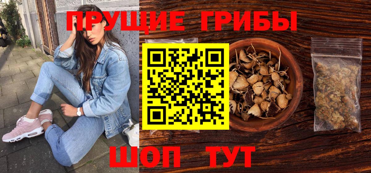 Псилоцибиновые грибы Psilocybe  Вход с VPN  Дедовск 
