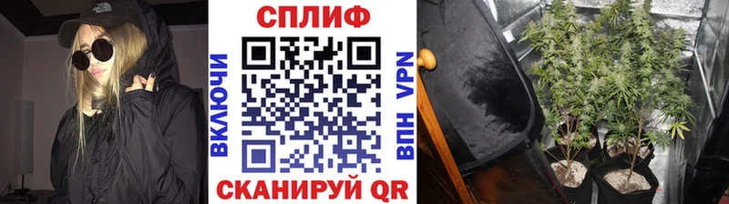 Шишки марихуана OG Kush Дедовск